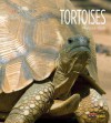 Tortoises (Living Wild) - Melissa Gish