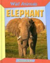 Elephant - Lionel Bender