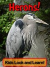 Herons! Learn About Herons and Enjoy Colorful Pictures - Look and Learn! (50+ Photos of Herons) - Becky Wolff