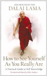 How to See Yourself as You Really Are: A Practical Guide to Self-Knowledge - Dalai Lama XIV, Jeffrey Hopkis