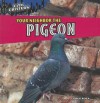 Your Neighbor the Pigeon - Greg Roza