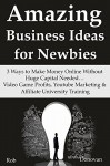 Amazing Business Ideas for Newbies: 3 Ways to Make Money Online Without Huge Capital Needed... Video Game Profits, Youtube Marketing & Affiliate University Training - Rob Donovan