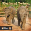 Elephant Twins - Richard Sobol