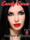 Candy Canes - Andrea Bellmont
