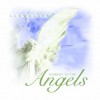 Journey to the Angels - Llewellyn