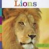 Lions - Kate Riggs