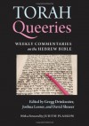 Torah Queeries - Lesser Joshua, Gregg Drinkwater, Joshua Lesser, David Shneer, Judith Plaskow