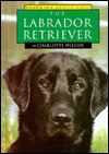 The Labrador Retriever - Charlotte Wilcox