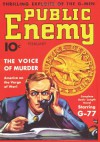 Public Enemy - 02/36: Adventure House Presents: - Bryan James Kelley, Hugh B. Cave, Norbert Davis, John P. Gunnison