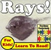 Children's Book: "Rays! Learn About Rays While Learning To Read - Rays Photos And Facts Make It Easy!" (Over 45+ Photos of Rays) - Monica Molina