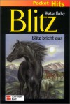 Blitz bricht aus - Walter Farley