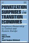 Privatization Surprises in Transition Economies: Employee-Ownership in Central and Eastern Europe - Milica Uvalić, Daniel Vaughan-Whitehead