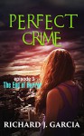 The End of Horror : Thriller Mystery: Perfect Crime 3 (Thriller Suspense Crime Murder psychology Fiction) Series: Lesbian Studies Short story - Richard J. Garcia