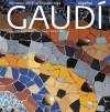 Gaudí. Introducción a su arquitectura - Juan-Eduardo Cirlot, Pere Vivas, Ricard Pla