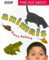 Find Out about Animals - Steve Pollock