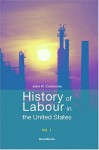 History of Labour in the United States, Volume 1 - John Rogers Commons, Selig Perlman, John B. Andrews