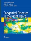 Congenital Diseases in the Right Heart - Andrew N. Redington, Robert H. Anderson