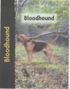 Bloodhound (Pet Love) - Nona Kilgore Bauer