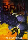 Heaven's Reach - David Brin