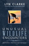 Unusual Wildlife Encounters: Observations, Depictions, and Inspirations - Lyn Clarke, Blue Harvest Creative