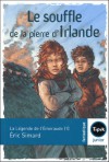 La légende de l'Emeraude (Le Souffle De La Pierre D'Irlande, #1) - Éric Simard