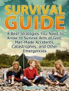 Survival Guide: 8 Best Strategies You Need to Know to Survive Acts of God, Man-Made Accidents, Catastrophes, and Other Emergencies (wilderness survival, survival skills, survival tips) - Bridgett Larson