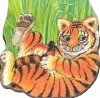 Pocket Tiger (Pocket Pals) - Michael Twinn