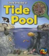 Tide Pool (Look Inside) - Louise Spilsbury