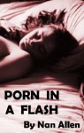 Porn In A Flash - Nan Allen