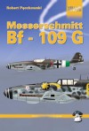 Messerchmitt Bf 109 G - Robert Pęczkowski, Artur Juszczak