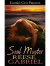Soul Master - Reese Gabriel
