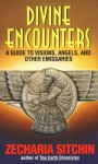 Divine Encounters: A Guide to Visions, Angels and Other Emissaries - Zecharia Sitchin