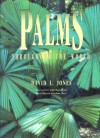 Palms Throughout the World - David L. Jones