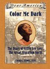 Color Me Dark: The Diary of Nellie Lee Love, the Great Migration North, Chicago, Illinois, 1919 - Patricia C. McKissack