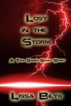 Lost In The Storm - Lissa Bilyk