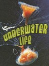 Underwater Life - Patricia Miller-Schroeder