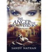 [ The Angel & the Brown-Eyed Boy ] By Nathan, Sandy ( Author ) [ 2011 ) [ Paperback ] - Sandy Nathan