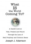 What IS the World Coming To?:A Candid Look at Past, Present and Future Through the Lens of Real Prophecy and Common Sense - Joseph Adamson