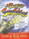 A Bucket of Surprises: An A-Z of the Wittiest and Most Memorable Stories, Proverbs and Observations - J. John, Mark W.G. Stibbe