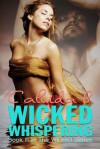 Wicked Whispering: Book III in the Wicked Series - Calinda B.