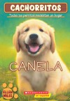 Canela (Cachorritos Series #1) (The Puppy Place: Goldie) - Ellen Miles