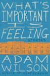 What's Important Is Feeling - Adam Wilson