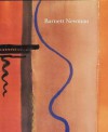 The Sublime is Now: The Early Work of Barnett Newman: Paintings and Drawings, 1944-1949 - Jeremy Strick, Barnett Newman