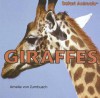 Giraffes - Amelie Von Zumbusch