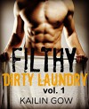 FILTHY DIRTY LAUNDRY (A Stepbrother Romance) - Kailin Gow