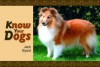 Know Your Dogs - Jack Byard