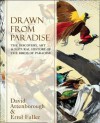 Drawn from Paradise: The Discovery, Art and Natural History of the Birds of Paradise - David Attenborough, Errol Fuller