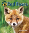 Red Foxes - Ruth Strother