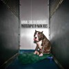 Animal Shelter Portraits - Mark Ross