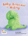 Baby Dinosaur Is Hiding (6 Pack) - Jay Dale